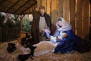 Kerststal Sint-Janskathedraal 2016