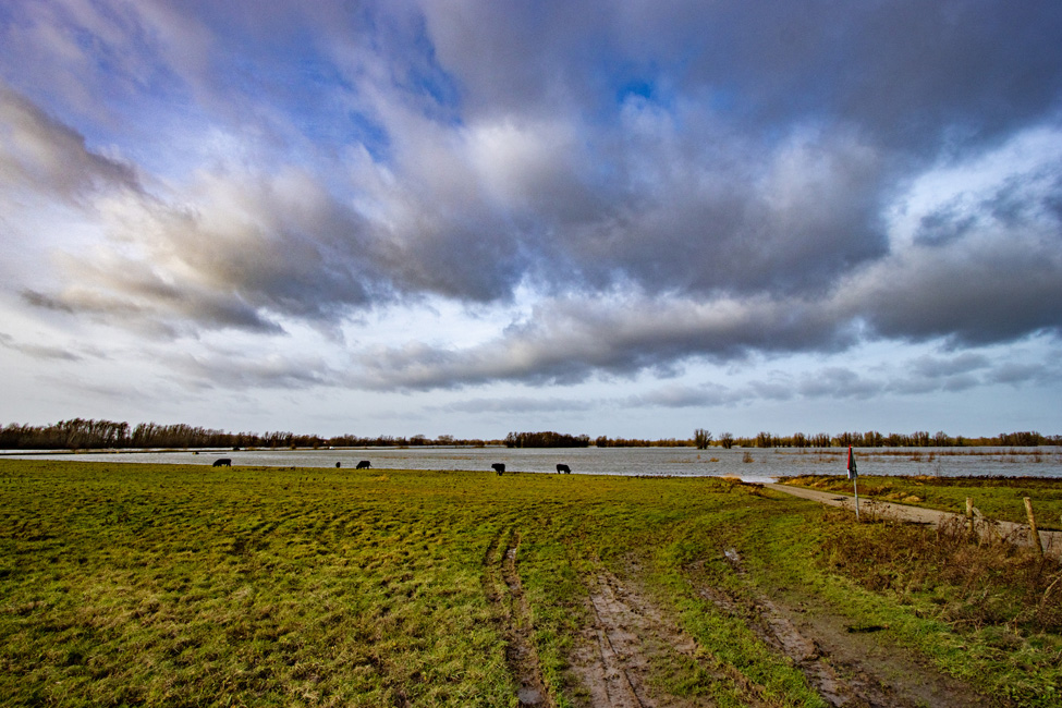 Hoog water rond Loevestein